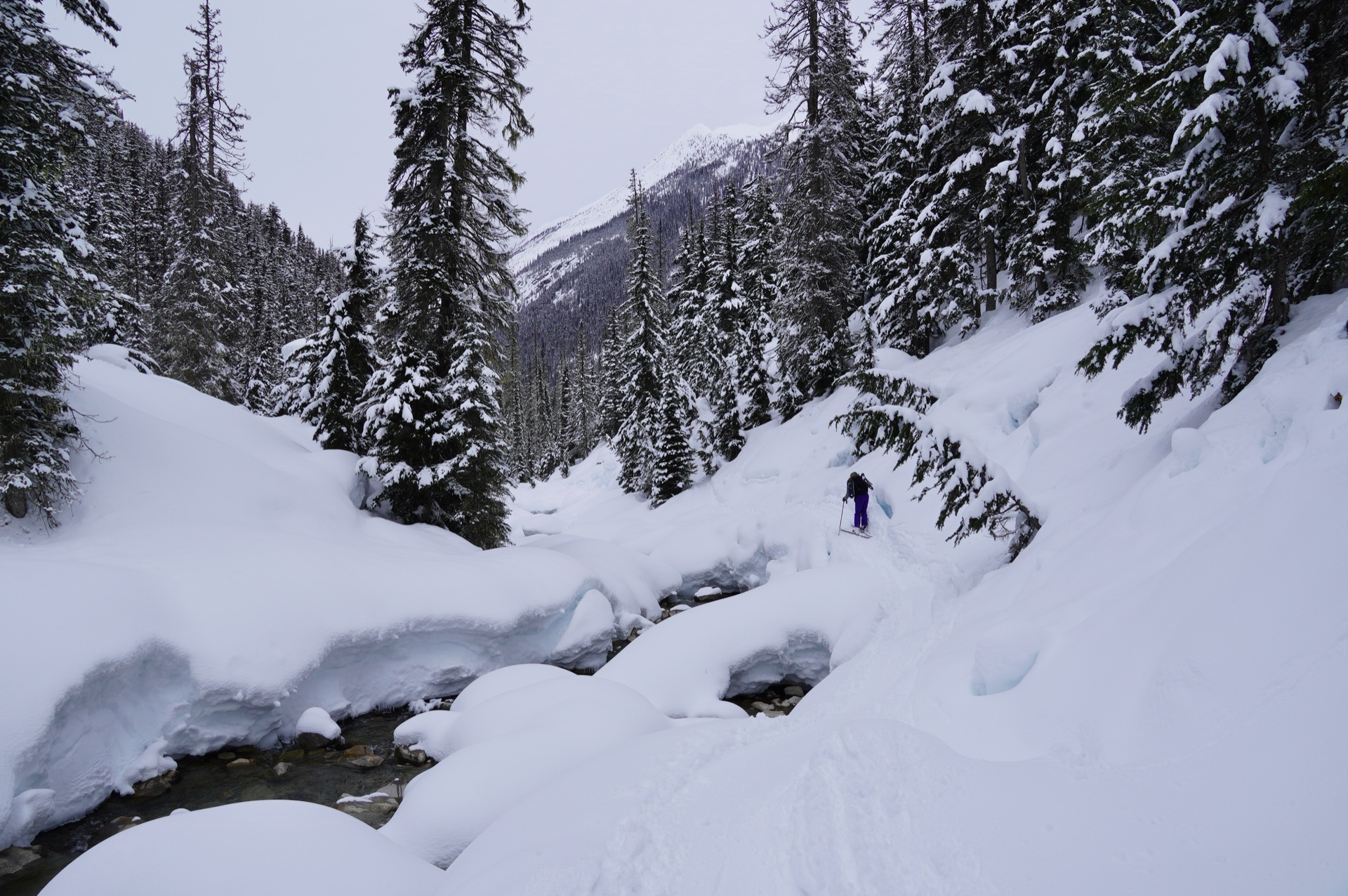 asulkan_rogers_pass - 107.jpg